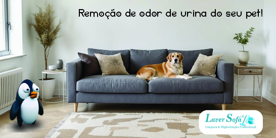 Limpeza e Higienização de Sofá